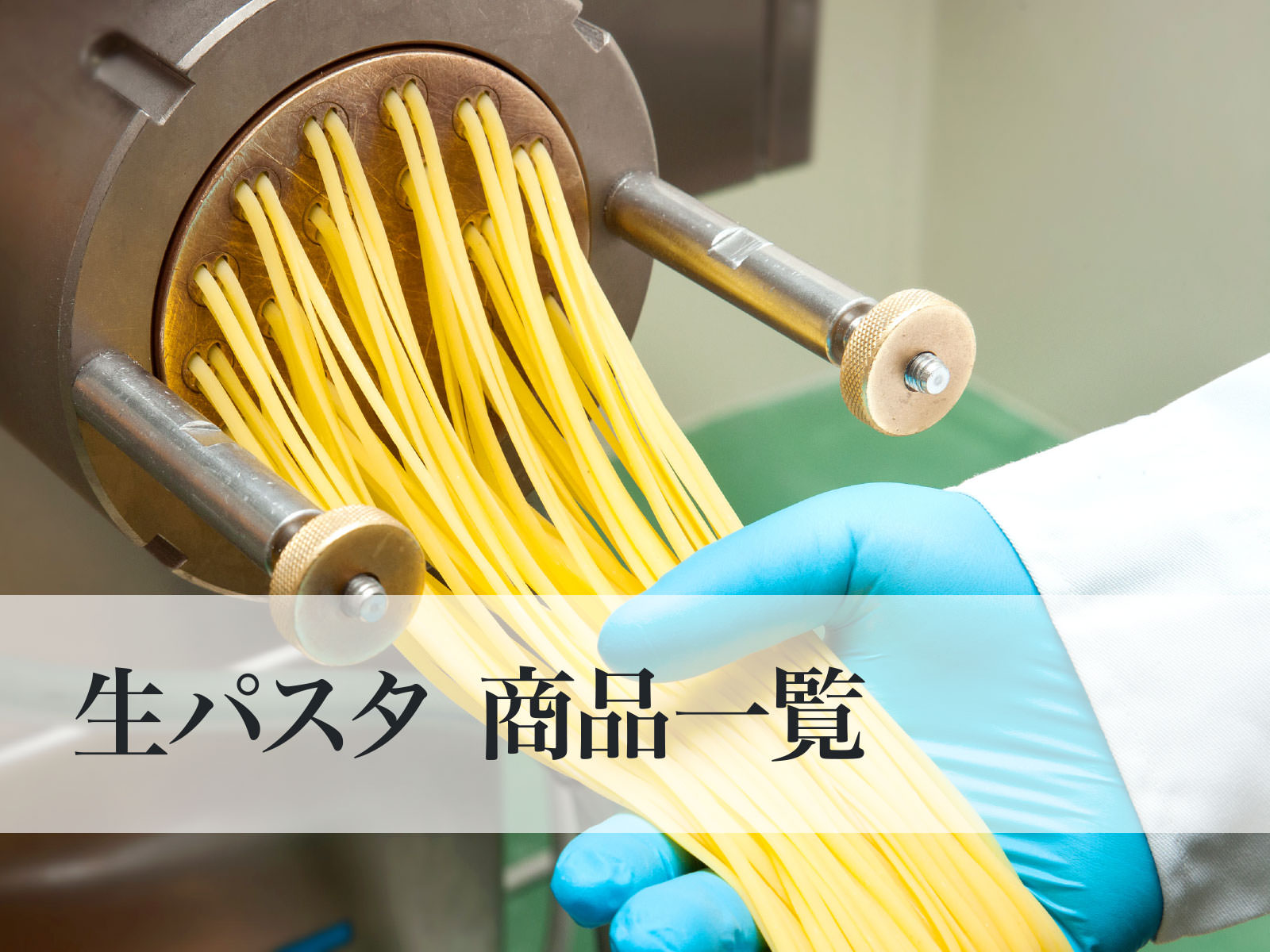 業務用 本格 生パスタ スパゲッティ リングイネ 商品一覧 業務用生麺50年 シクヤ製麺